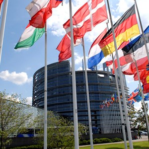 Hvad vil vi med det danske EU-formandskab?